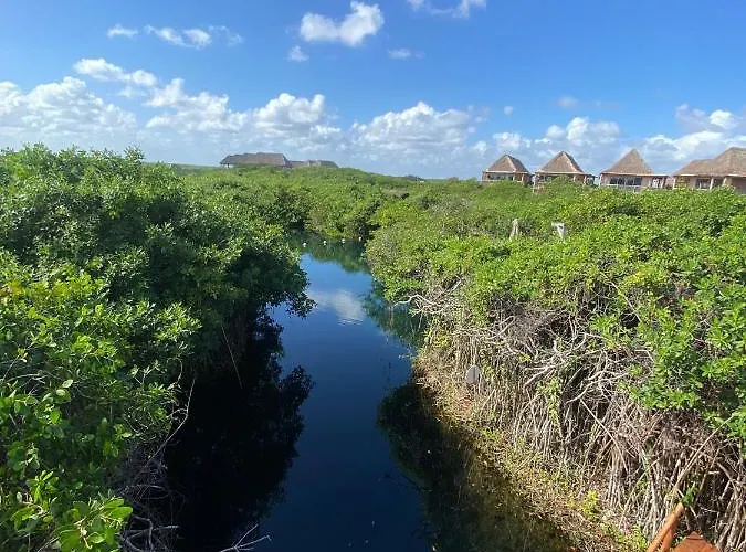 - Aldea Mangle & Cenote Lodge *
