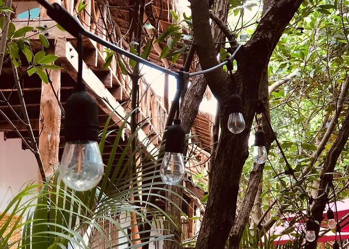 - Aldea Mangle & Cenote * Tulum