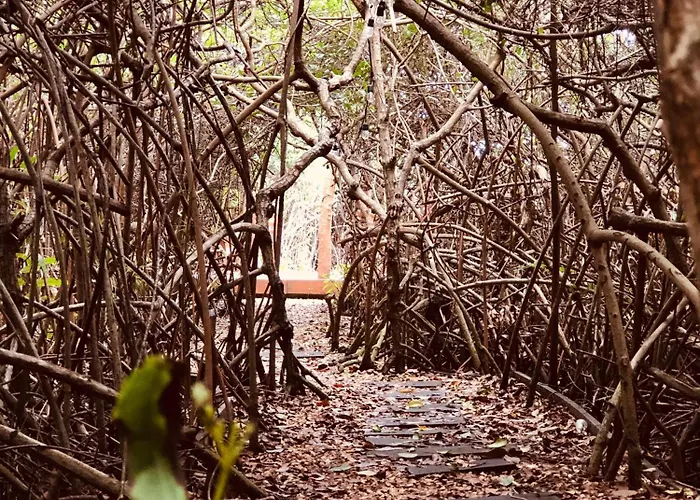 - Aldea Mangle & Cenote Lodge
