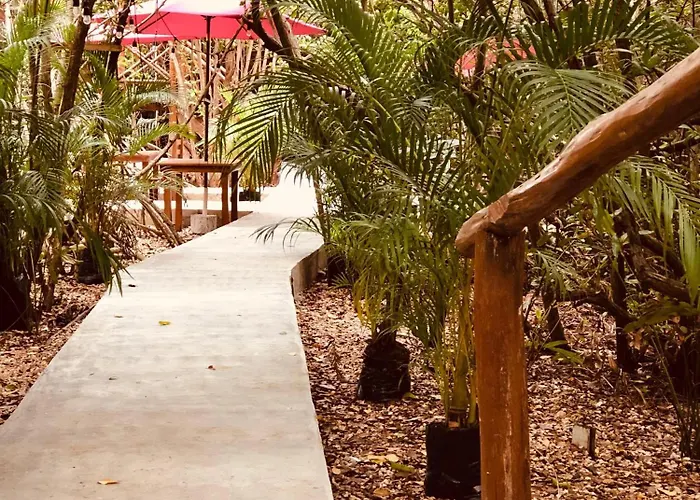 - Aldea Mangle & Cenote Lodge *