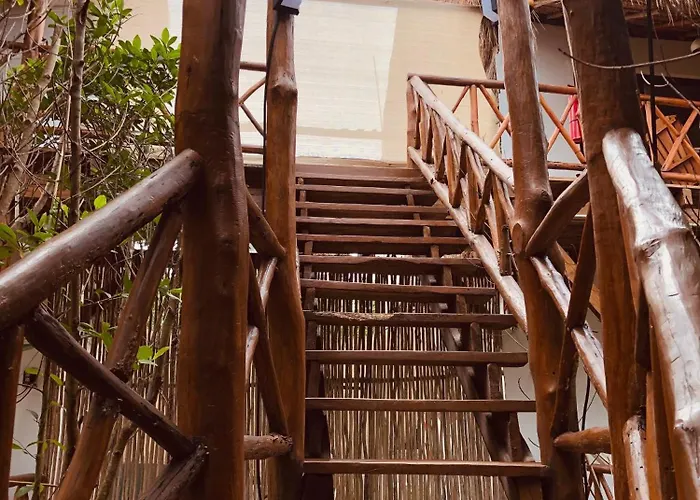 - Aldea Mangle & Cenote Lodge