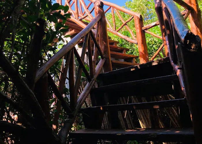 Lodge - Aldea Mangle & Cenote *