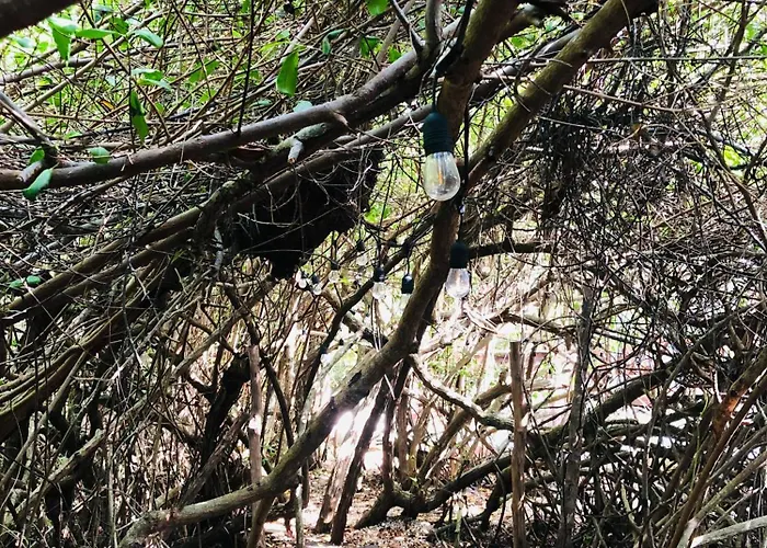 - Aldea Mangle & Cenote