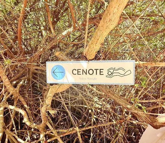 - Aldea Mangle & Cenote Lodge